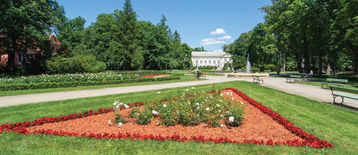 klomb w środku parku